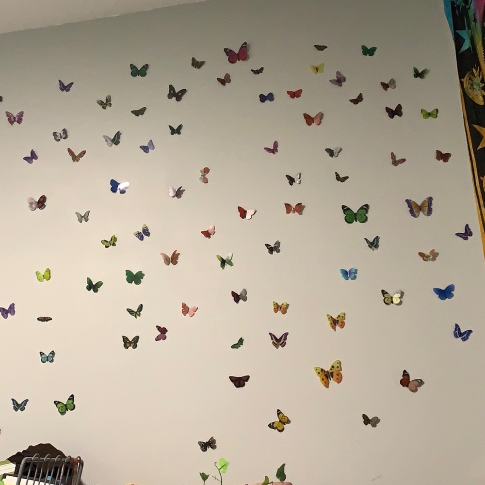 Plastic butterfly’s